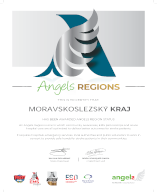 ocenění ocenění Angels Region