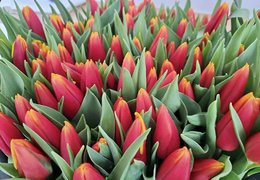 Naše ženy jsme už tradičně potěšili květy a dobrým jídlem