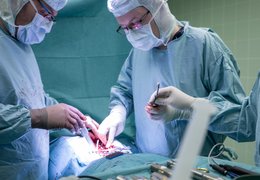 Díky společnosti Mölnlycke máme novou sadu fréz do vysokofrekvenční vrtačky