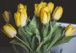 Milé ženy, děkujeme a přeje Vám vše nejlepší! Milé ženy, děkujeme a přeje Vám vše nejlepší!