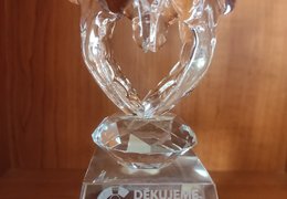 Kraj ocenil zdravotníky za nasazení v covidové epidemii