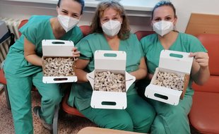 Vanilkové rohlíčky provoněly lůžková oddělení.