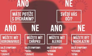 Koronavirus, chřipka, nachlazení nebo alergie ?