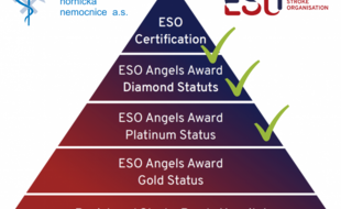 ESO Stroke Unit or Stroke Centre certification